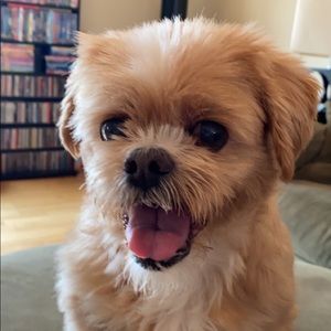 Meet your Posher, Amber